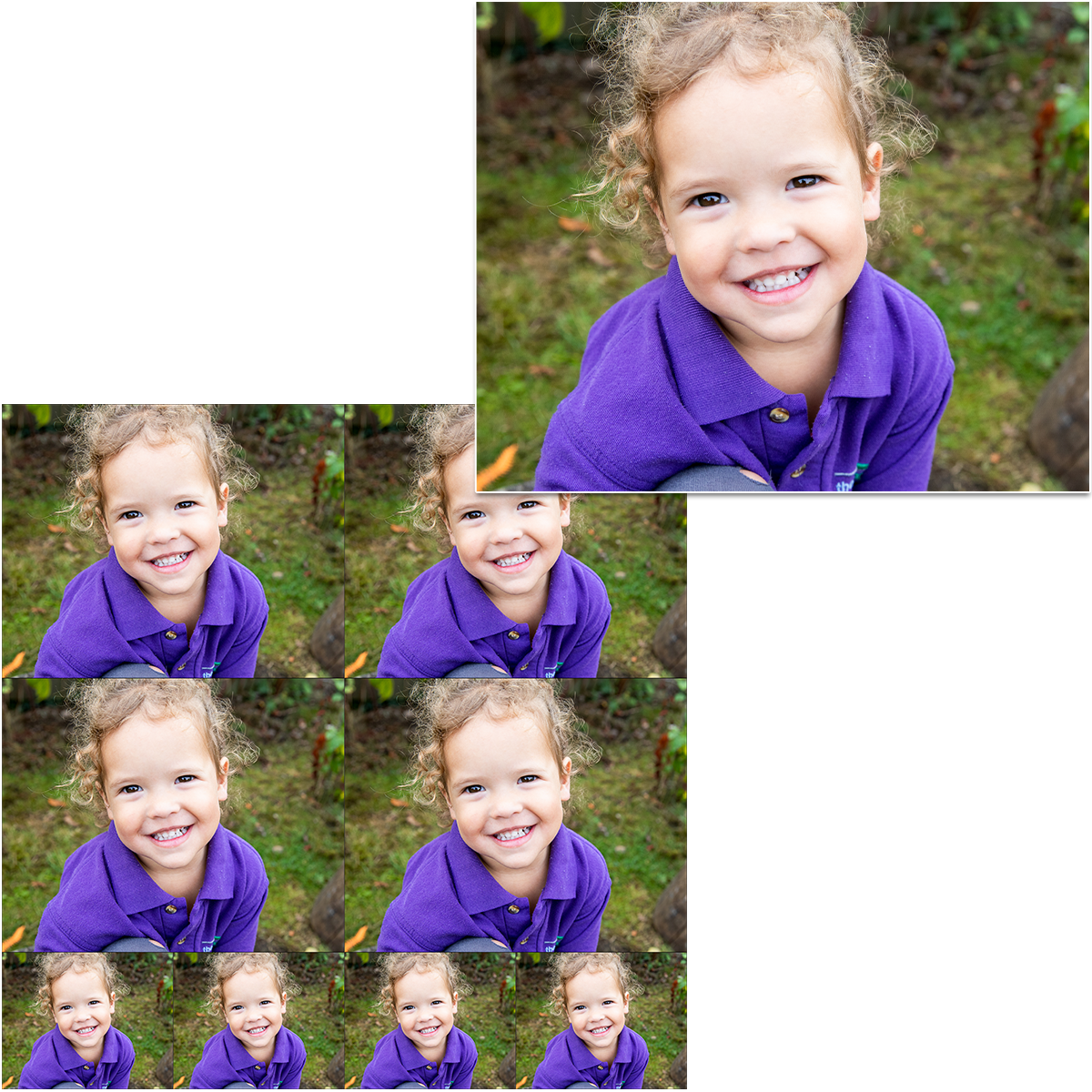 Crop Examples